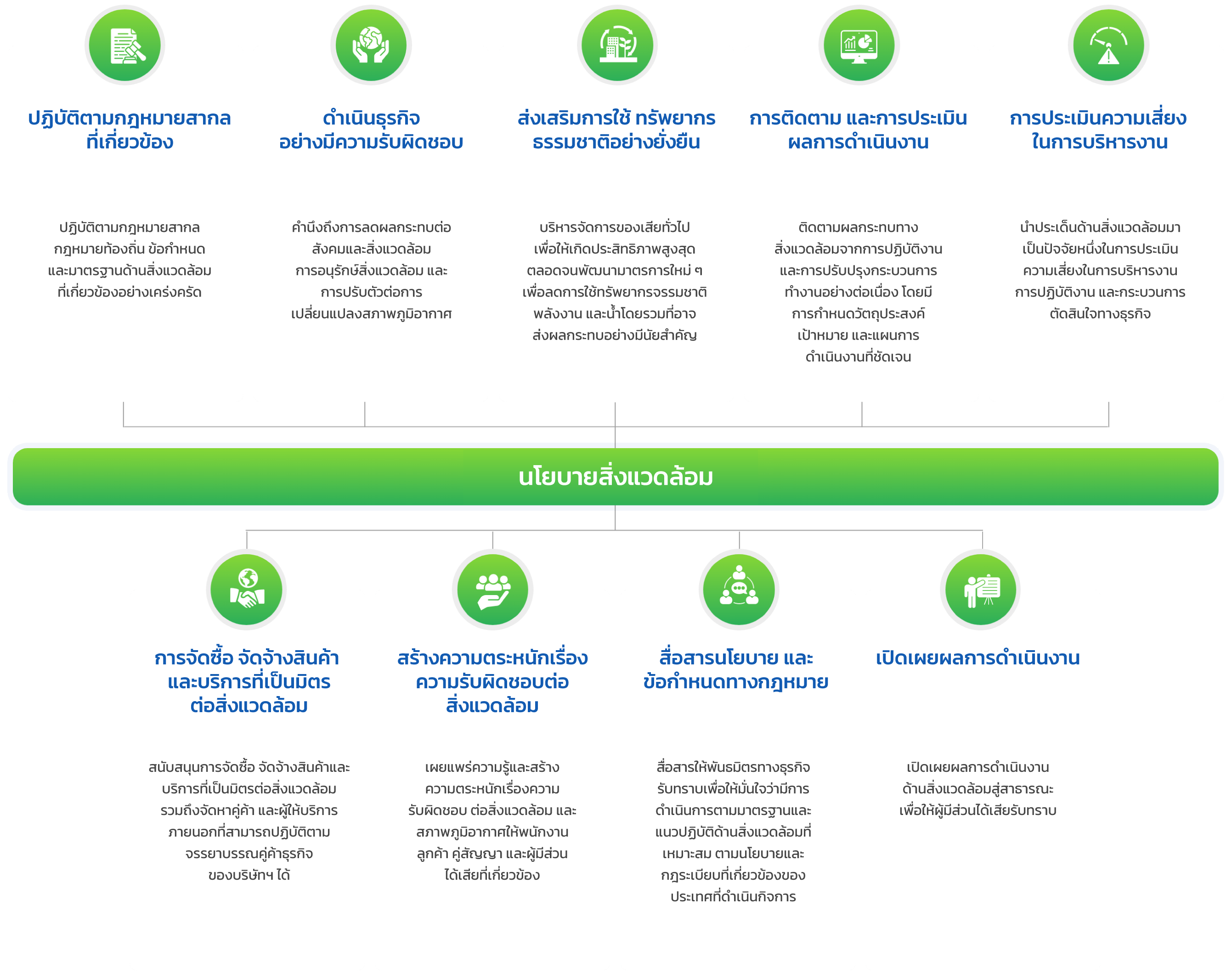 Environmental Policy